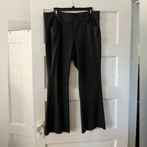 Torrid Studio Pant Dark Grey Size 16 Short
